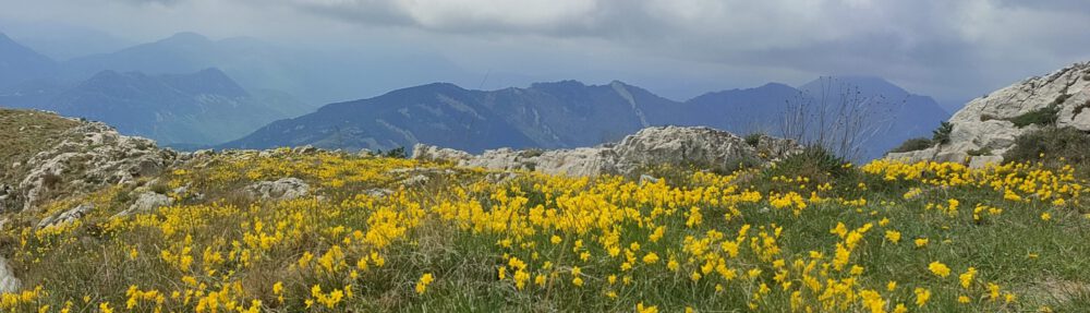 creacions de espais naturals